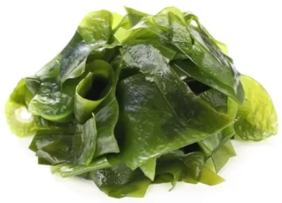 Alga wakame
