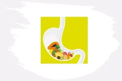 Enzimas
