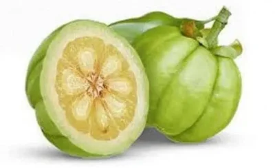Garcinia cambogia fruto