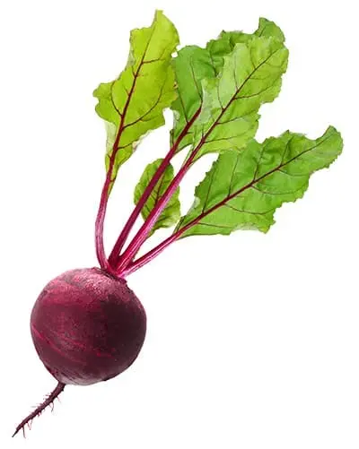 Remolacha planta