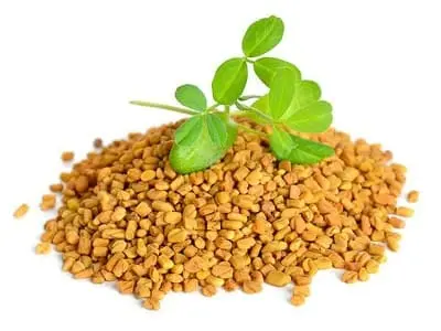 Semillas de alholva